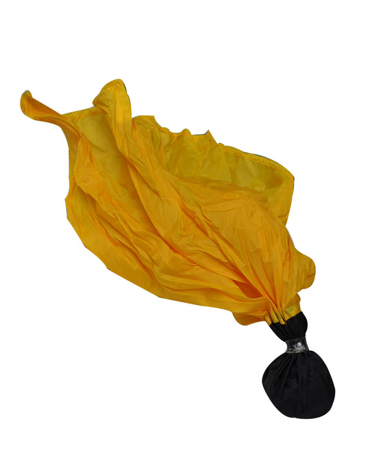 ACS511-Ball Type Flag Also Available